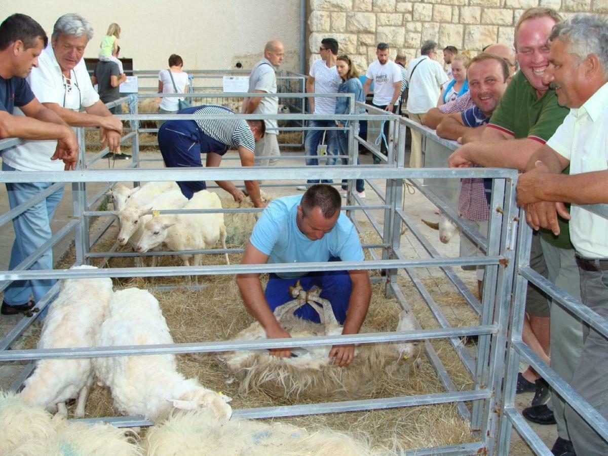 巴斯卡Adriatic Arteon公寓 外观 照片